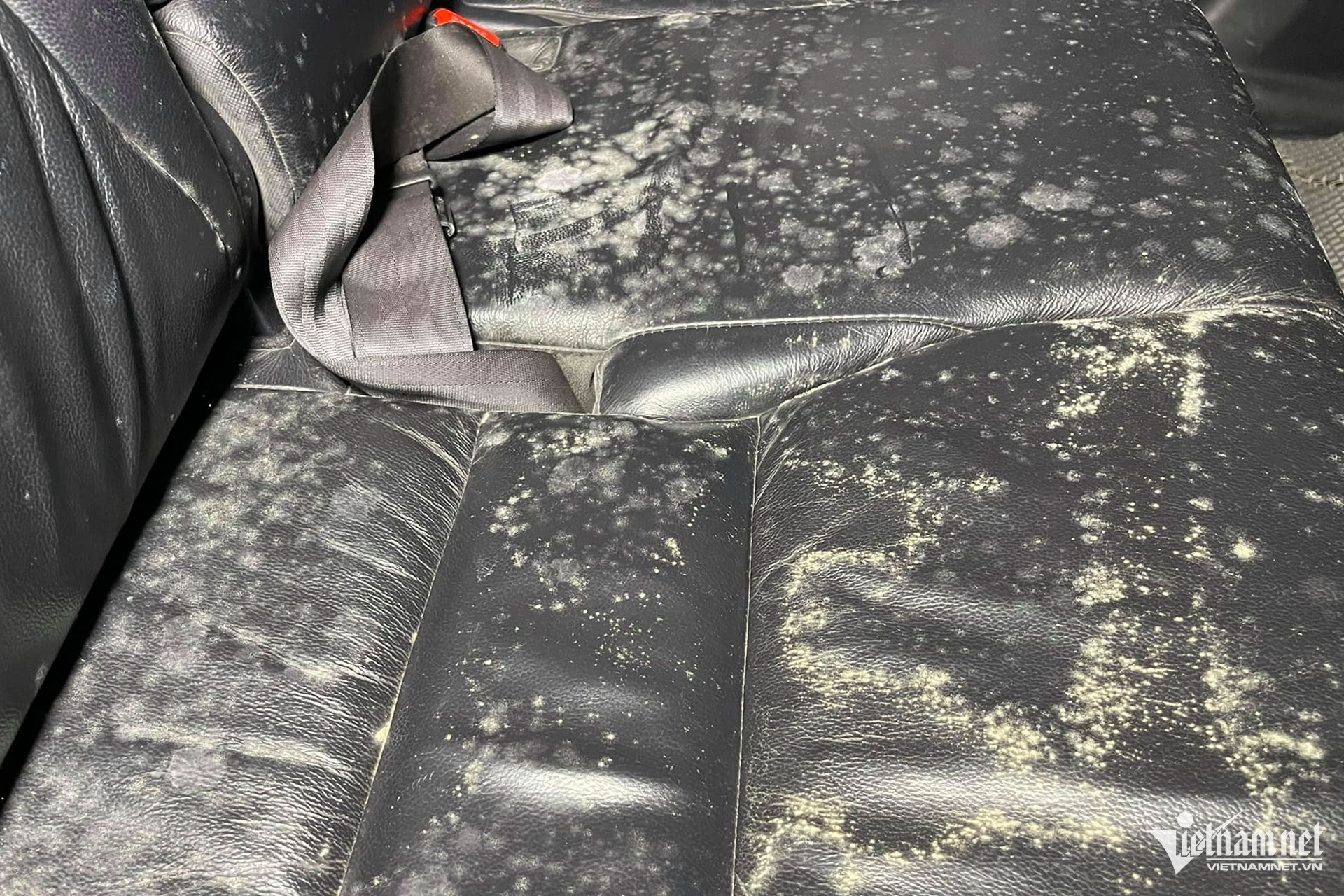 Loại bỏ nấm mốc đối với nội thất ô tô