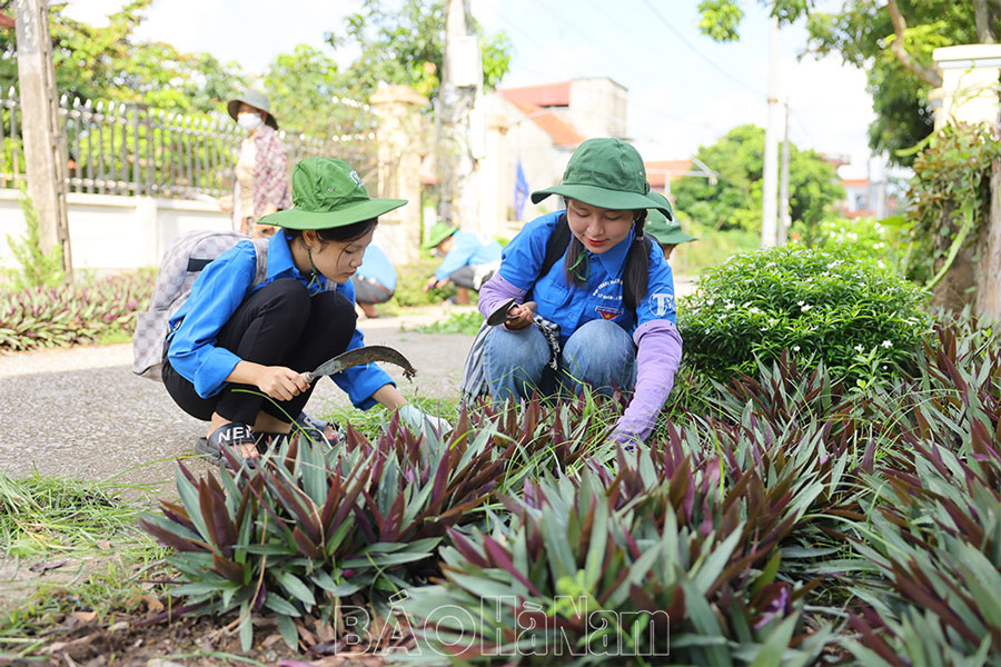 Trải nghiệm, rèn luyện từ Chiến dịch Mùa hè xanh