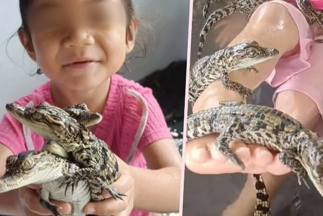 Bé gái 4 tuổi nô đùa với hàng trăm con cá sấu