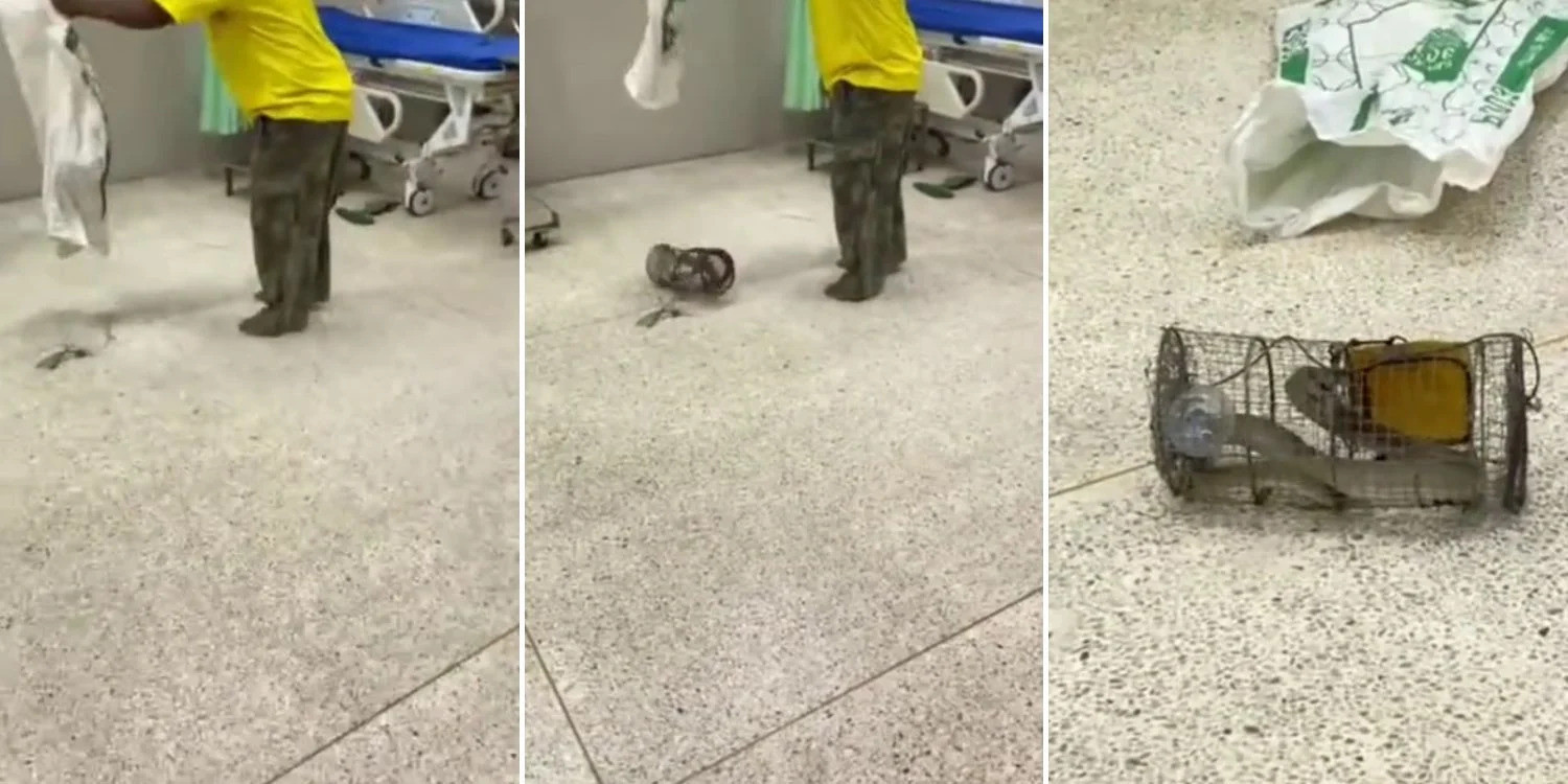 Bị phun nọc độc vào mặt, người đàn ông bắt luôn con rắn nộp cho bác sĩ