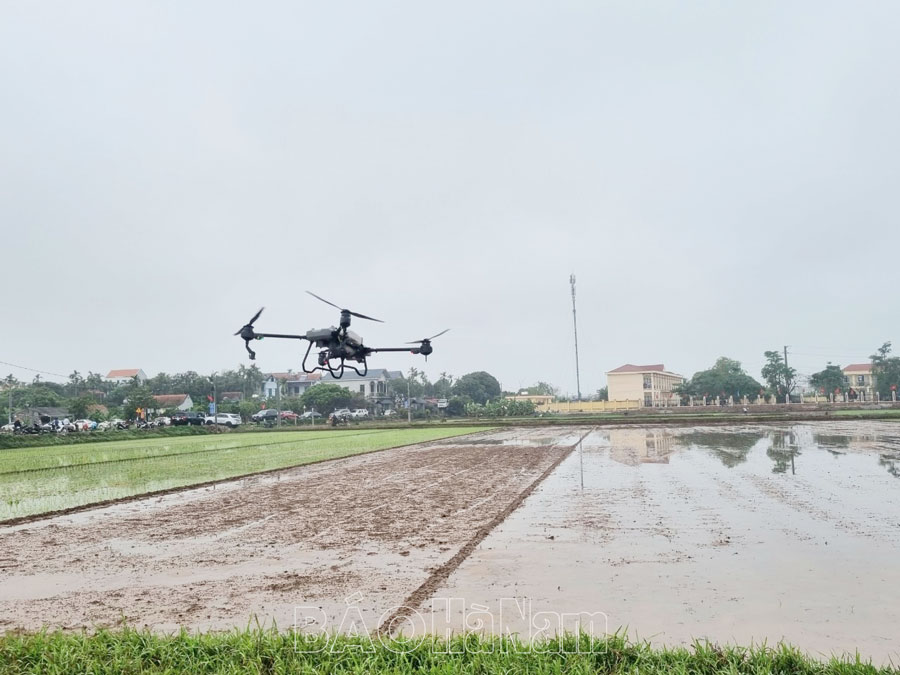 Cần sớm đấu thầu đất sản xuất do UBND xã, thị trấn quản lý