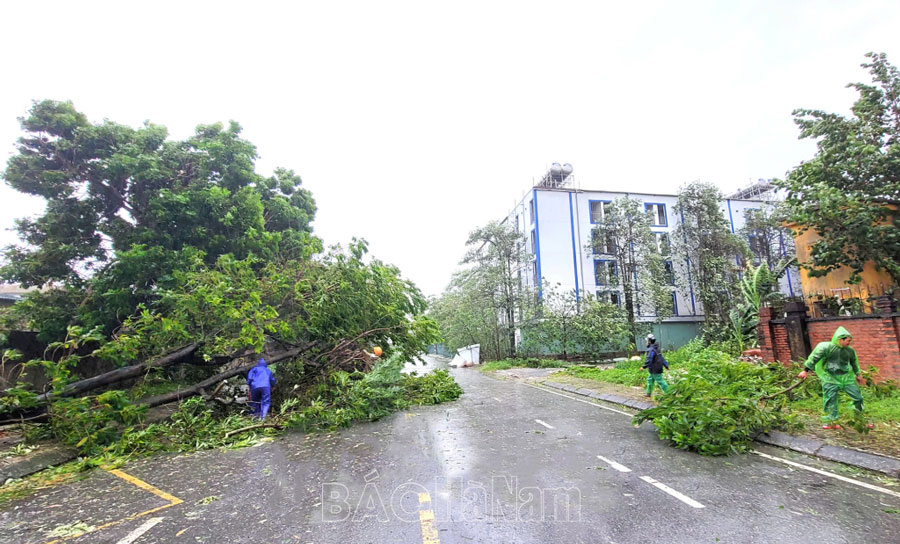 Xảy ra sự cố mất điện, nhiều cây xanh bị đổ gãy trong các KCN do bão số 3