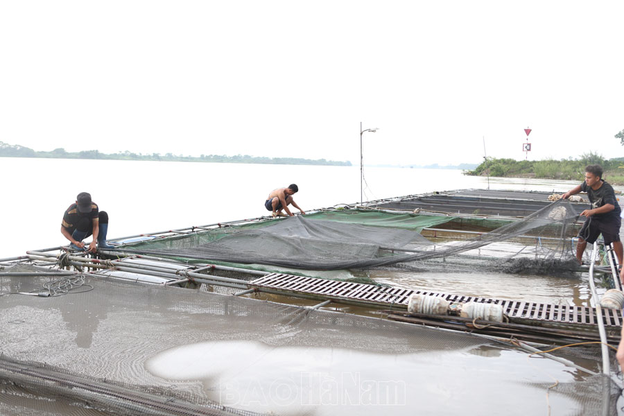 Lũ sông Hồng vượt mức báo động II