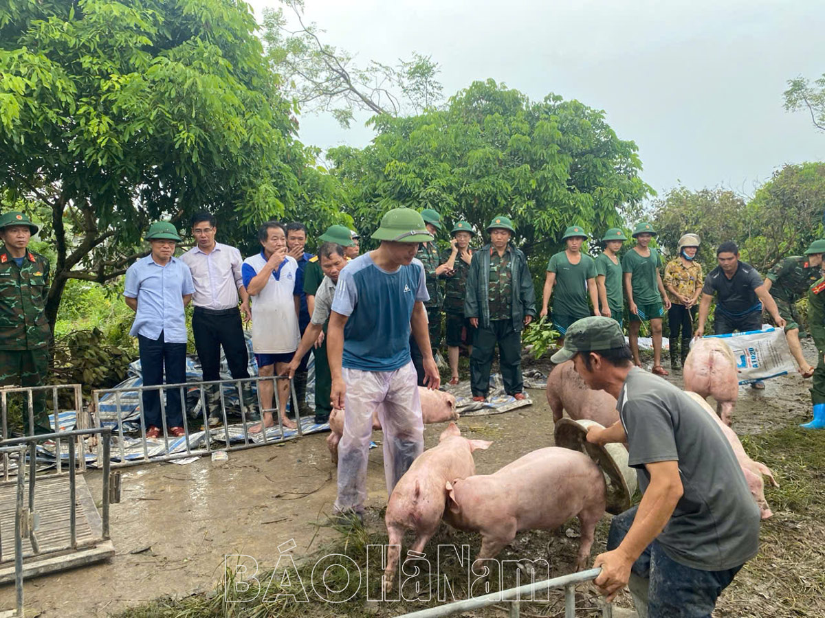 Lý Nhân sẵn sàng di dời gần 600 hộ dân ven sông Hồng, sông Châu để tránh lũ