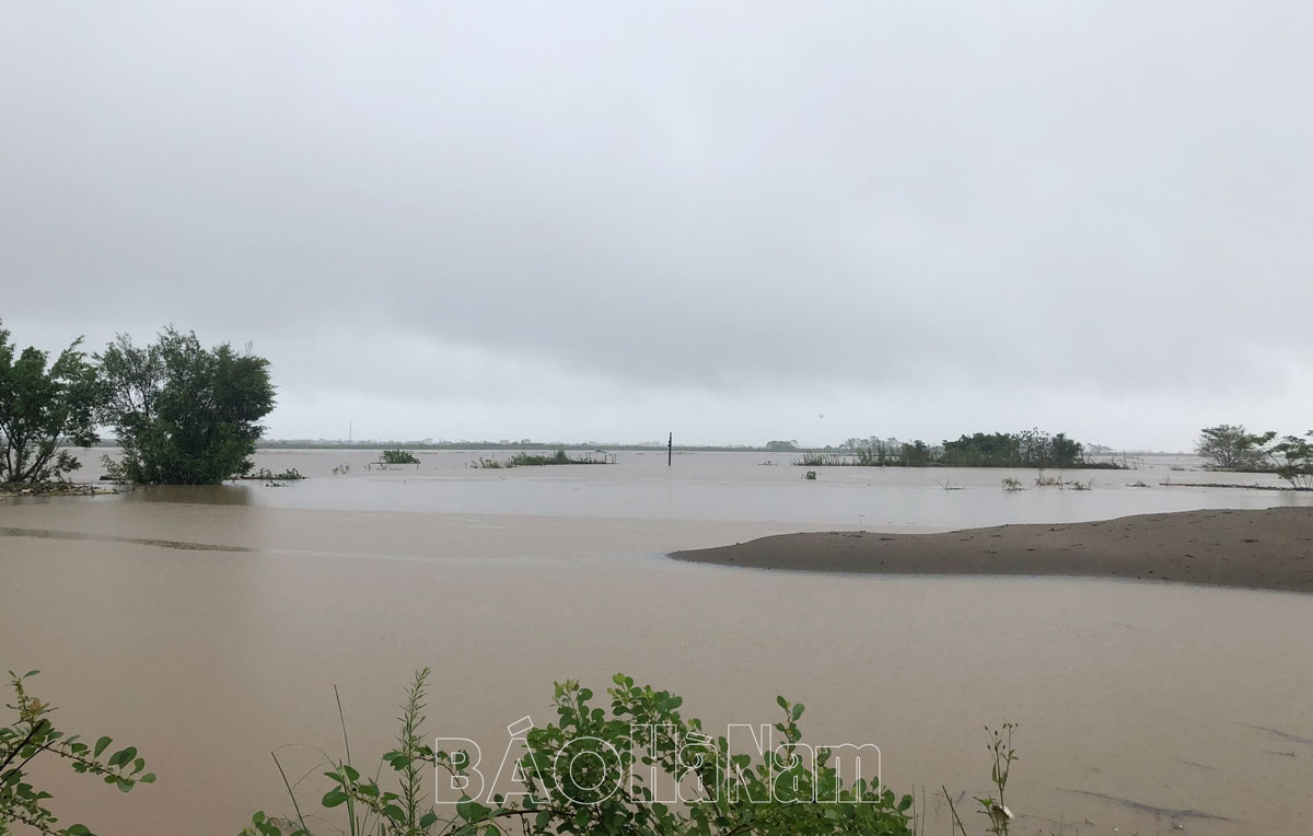 Phát tin rút báo động II trên sông Hồng