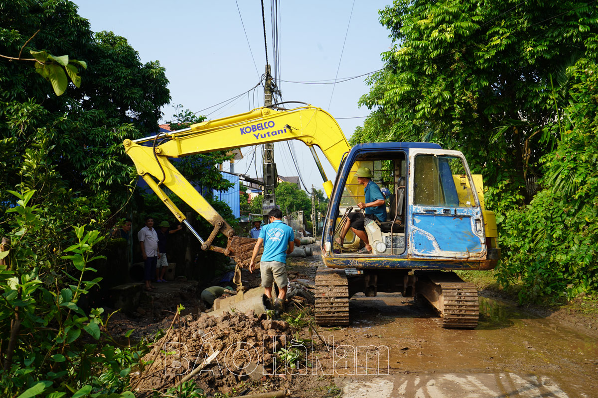 Lý Nhân thiệt hại nặng nề trong sản xuất nông nghiệp do bão lũ