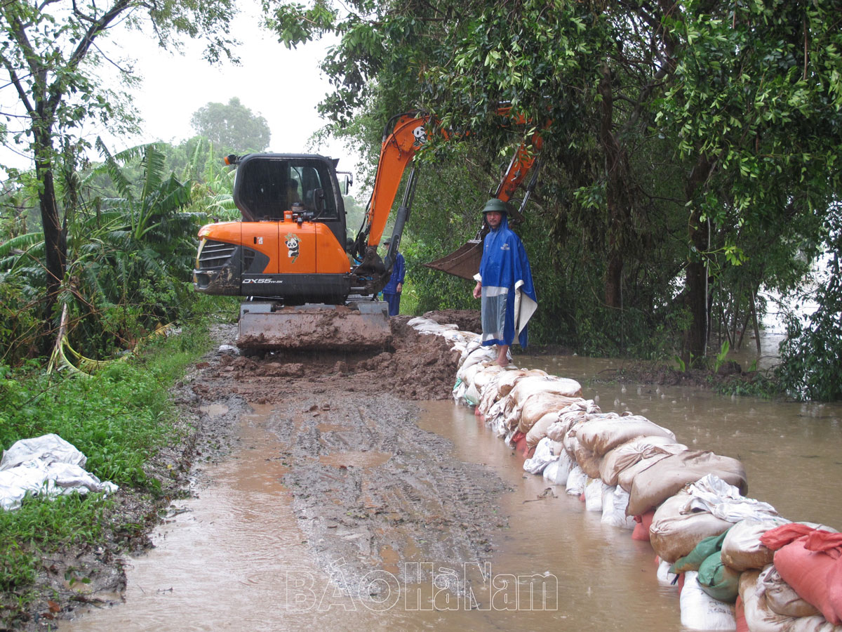 Chủ động ứng phó với vùng áp thấp và mưa lớn