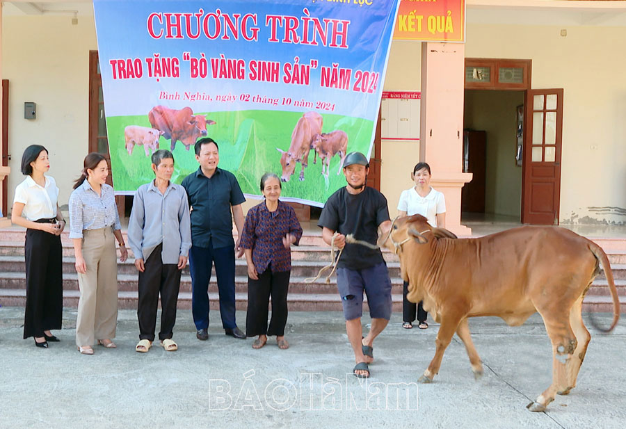 Hội Nông dân huyện Bình Lục trao bò vàng sinh sản cho hội viên