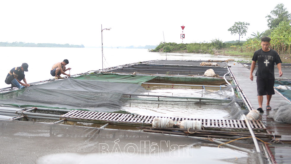 Nuôi trồng thủy sản vùng bãi ven sông: Đầu tư lớn, rủi ro cao
