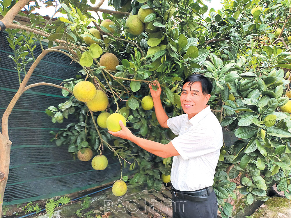 Xứng danh cựu chiến binh gương mẫu