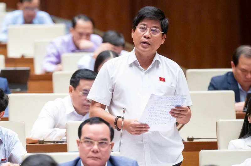 Cần nghiêm trị trường hợp bỏ cọc sau khi trúng đấu giá đất