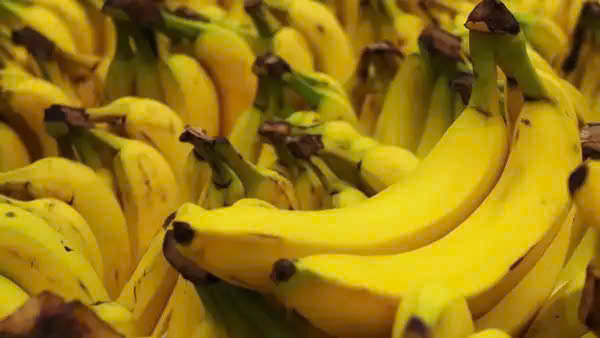 Khi biết những điều này, chắc chắn bạn sẽ không bao giờ vứt bỏ vỏ chuối nữa