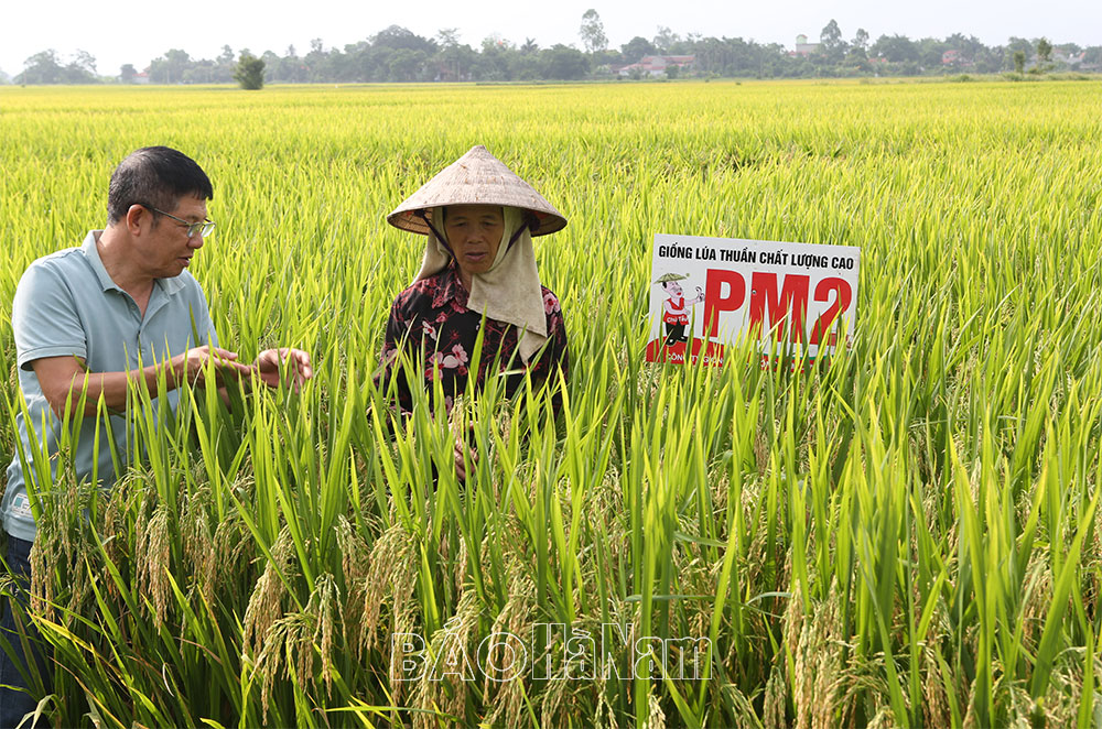 Ghi nhận ở HTXDVNN Đồn Xá