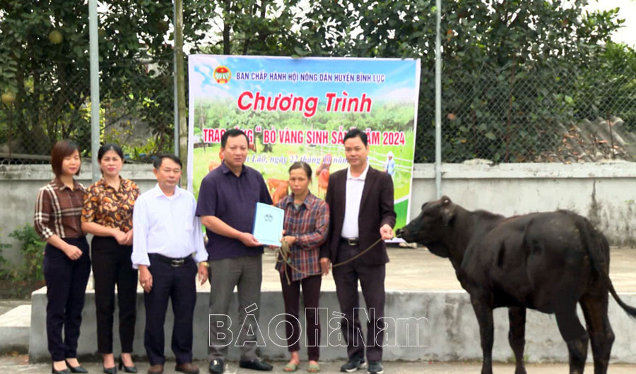 Hội Nông dân Bình Lục trao bò vàng sinh sản cho hội viên nghèo