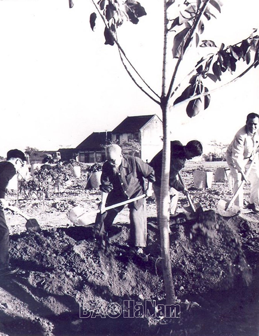 “Trông cây lại nhớ đến Người…”