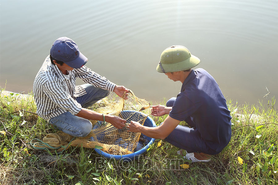 Tiêu Động đẩy mạnh phát triển sản xuất nông nghiệp
