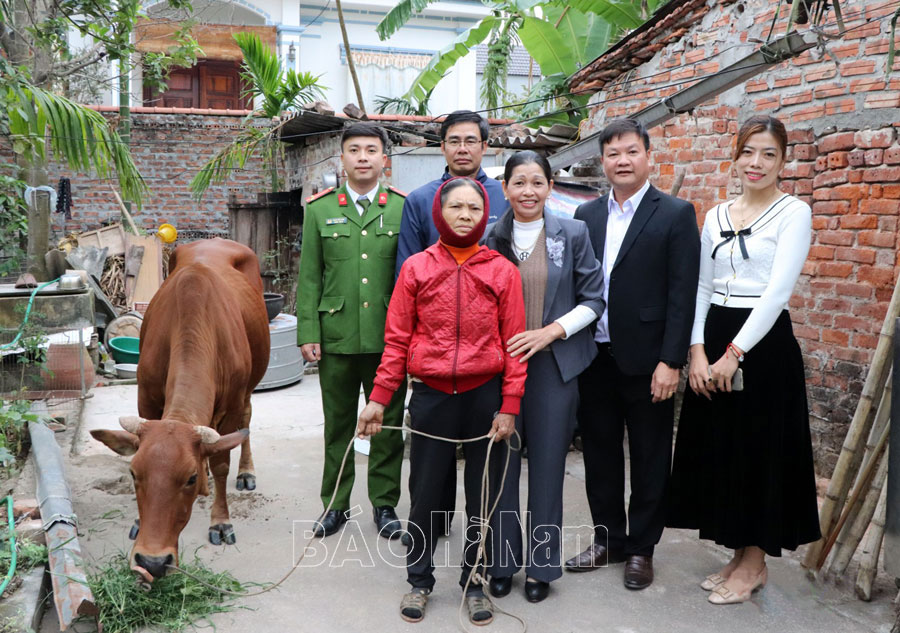 Trao tặng bò vàng sinh sản cho hội viên phụ nữ khó khăn