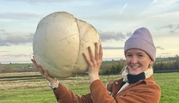 Cô gái phát hiện cây nấm khổng lồ nặng gần 5kg, ăn mãi mới hết