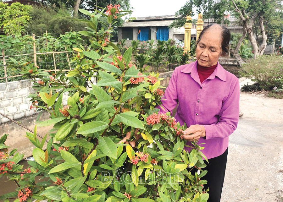 Chi hội trưởng phụ nữ luôn hoàn thành xuất sắc nhiệm vụ được giao