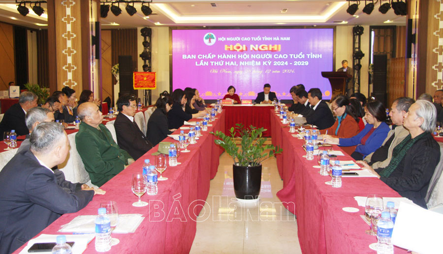 Hội Người cao tuổi tỉnh triển khai nhiệm vụ năm 2025