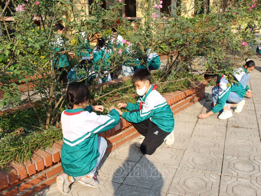 Nâng cao ý thức bảo vệ môi trường cho học sinh