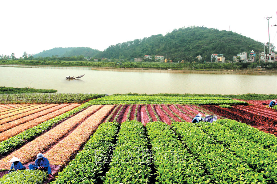 Núi Đọi sông Châu và dòng chảy lịch sử bất tận