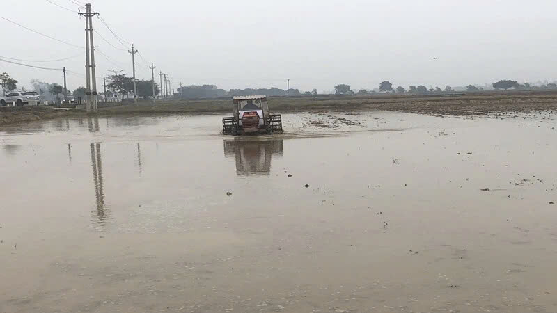 Bảy địa phương cơ bản hoàn thành lấy nước sản xuất vụ đông xuân