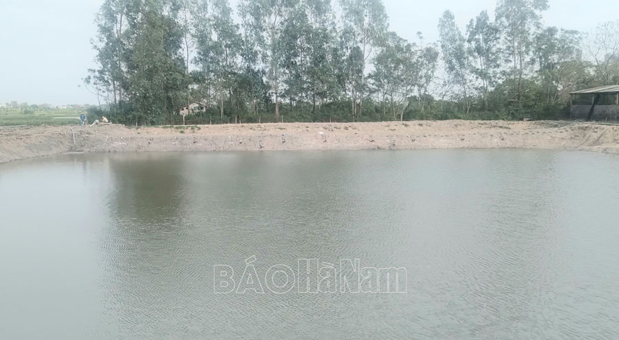 Tăng cường bảo vệ môi trường tại các trang trại chăn nuôi lợn