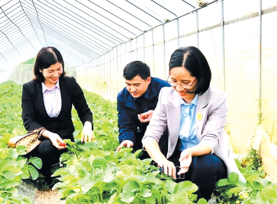 Duy Tiên đẩy mạnh các phong trào thi đua yêu nước