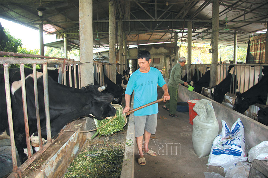 Hội viên cựu chiến binh Kim Bảng tích cực tham gia xây dựng nông thôn mới