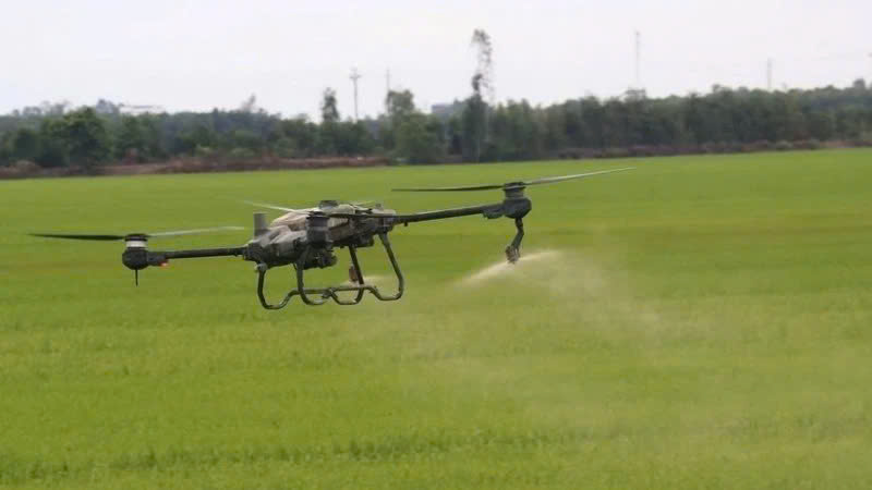 EU từ bỏ kế hoạch cắt giảm thuốc trừ sâu và tác động đối với doanh nghiệp Việt