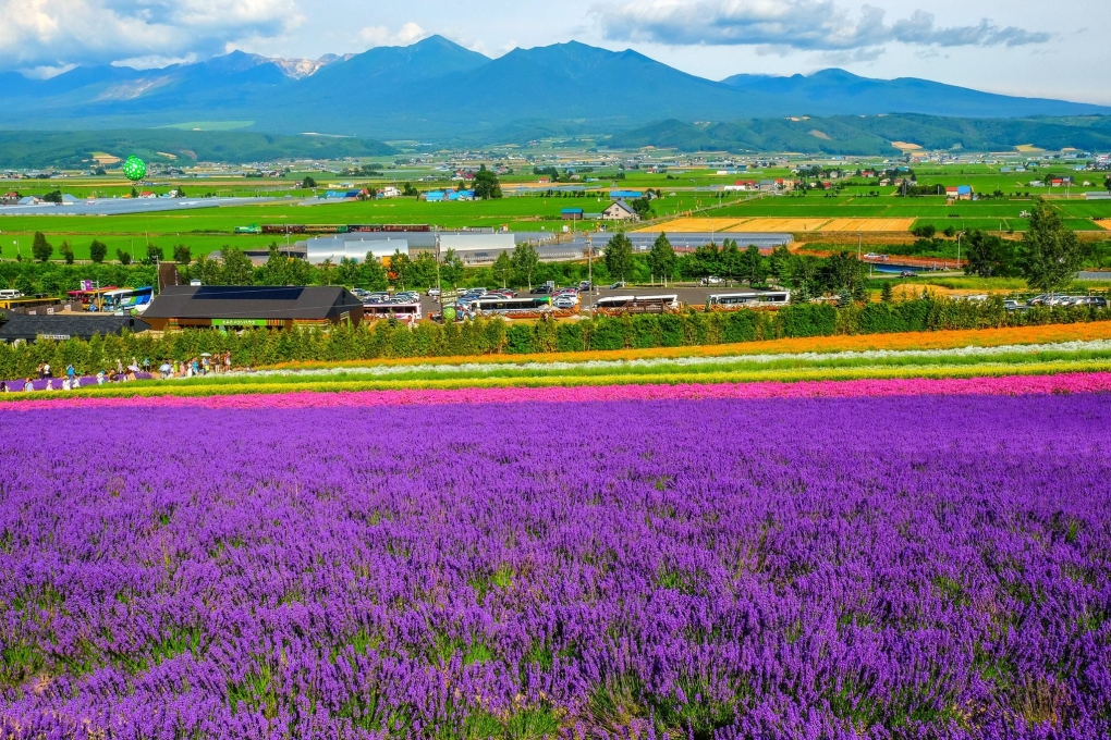 Một số luật ngầm khi du lịch ở Nhật Bản