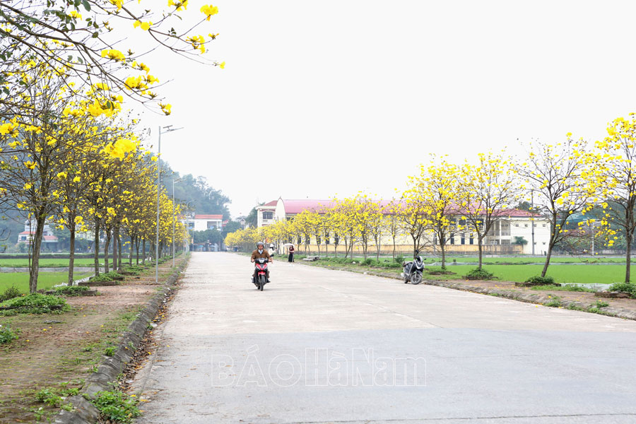 Hoàn thành mục tiêu trồng 5 triệu cây xanh