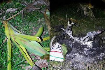 Chủ nhà bức xúc, thiêu hủy luôn xe máy của kẻ trộm chuối