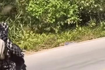 5 lưu ý sống còn khi xuống dốc, đổ đèo bằng xe máy tay ga