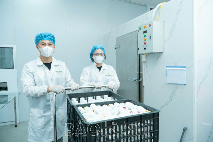 Sản xuất gắn với chế biến - hướng đi hiệu quả phát triển nông nghiệp hàng hóa