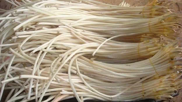 Việt Nam có vị "thuốc quý" bổ huyết lại giải độc hiệu quả, cứ ra chợ là thấy