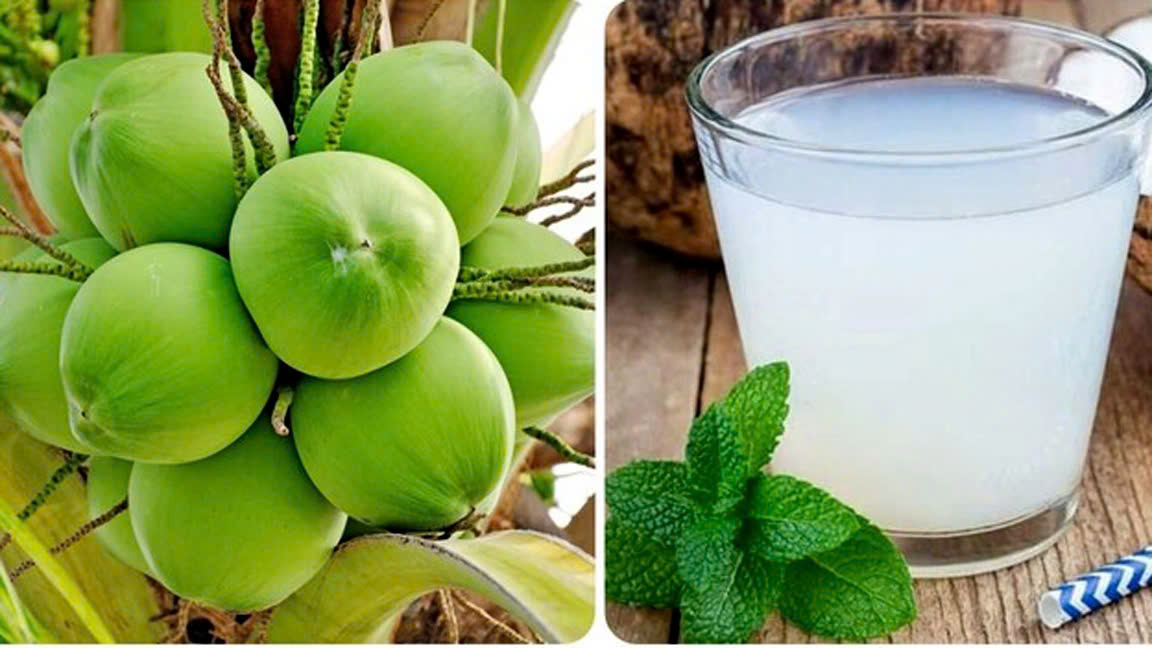 Uống nước dừa buổi sáng có tác dụng gì?