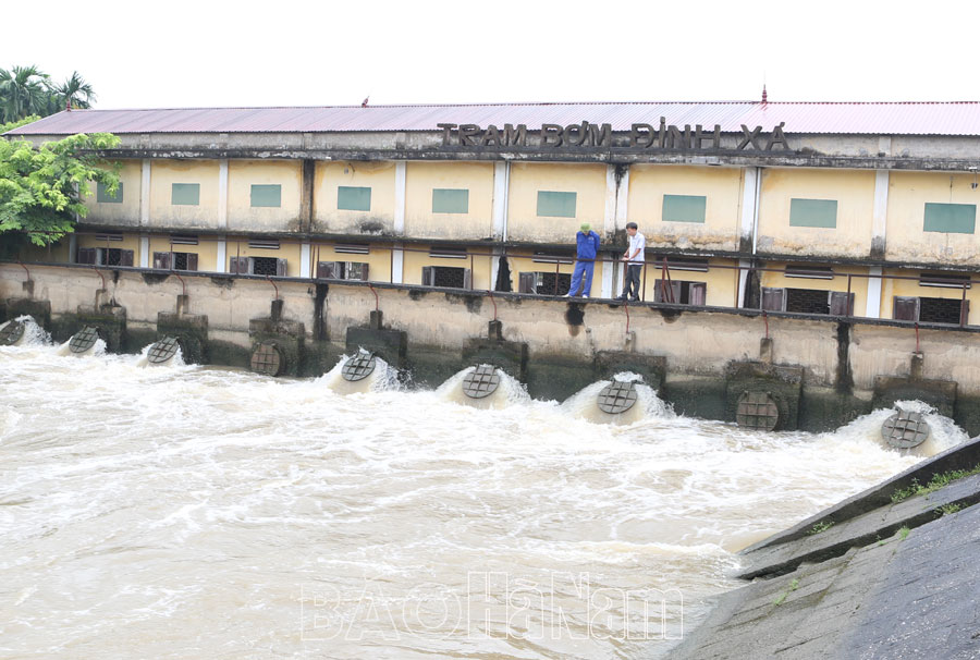 Bình Lục chủ động ứng phó ngập úng vụ mùa