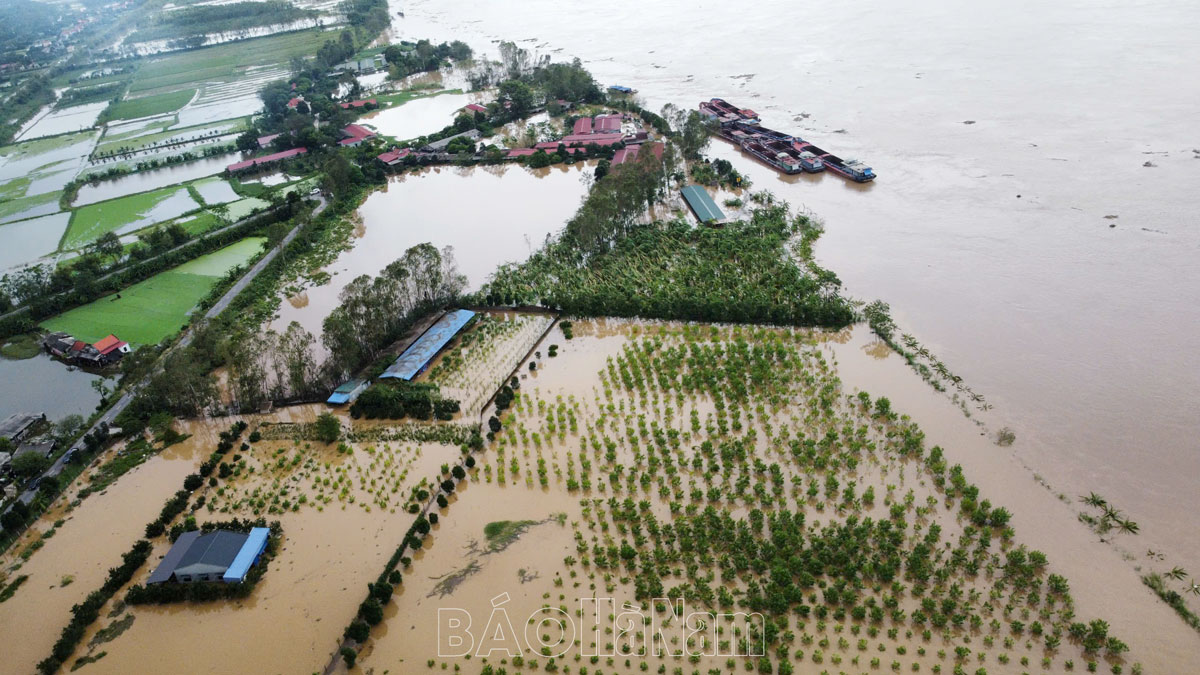 Tập trung ứng phó nguy cơ mưa lớn, sạt lở đất, lũ quét