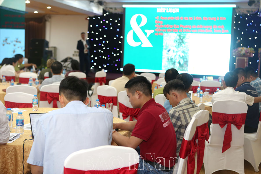 Bảo tồn và phát triển cây chè hoa vàng tại rừng Kim Bảng