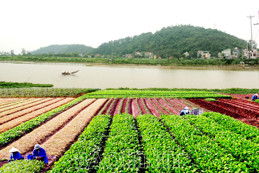 Hà Nam - Dấu ấn sâu đậm và lan tỏa