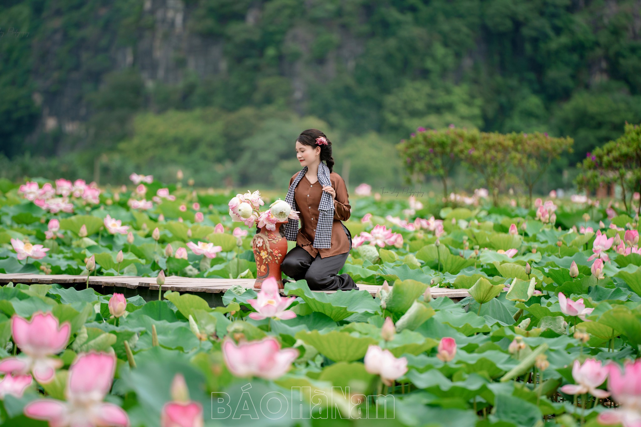 Mùa sen đẹp như tranh vẽ ở Hang Múa