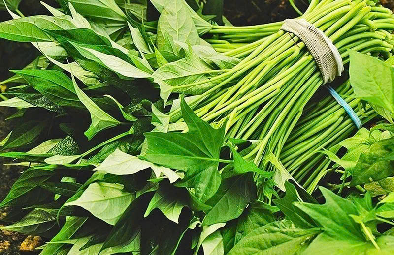 Loại rau Việt giá "rẻ như cho", ăn vào "bổ đủ đường" nhưng toàn bị ngó lơ