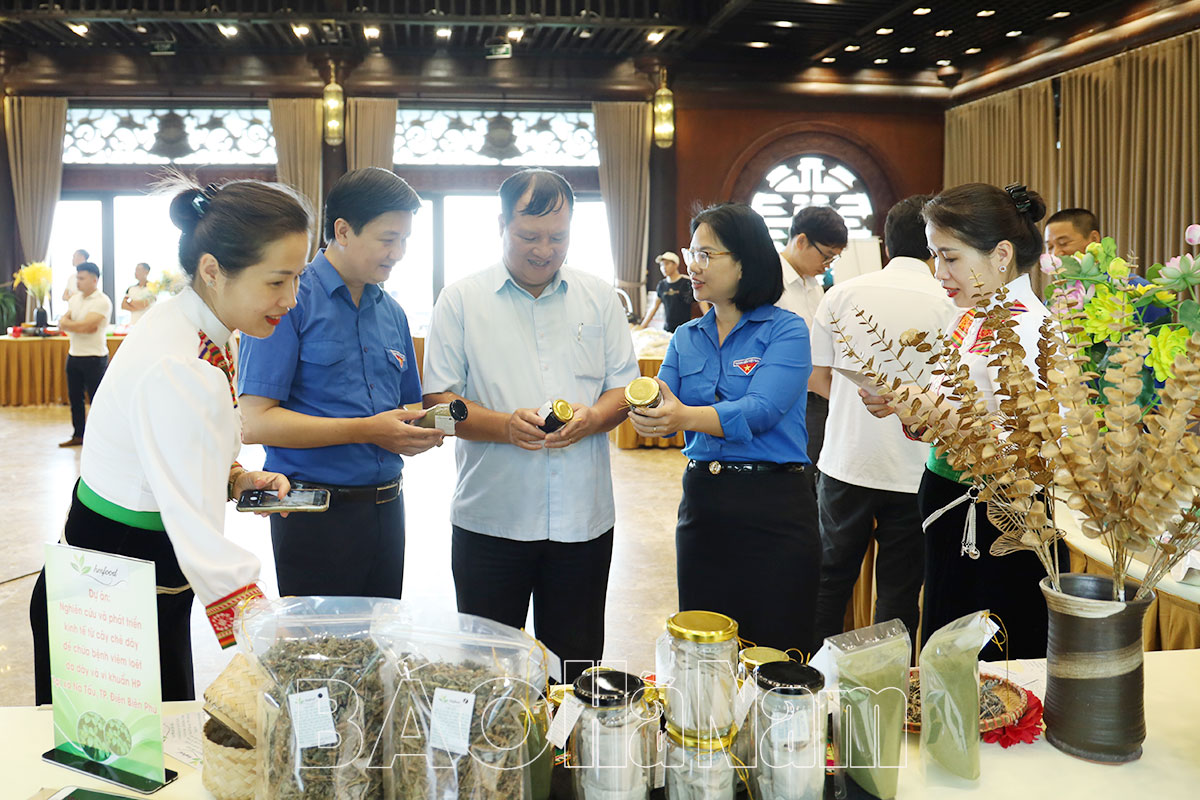 Hà Nam có một dự án tham gia Vòng Bán kết Cuộc thi “Dự án khởi nghiệp thanh niên nông thôn” khu vực miền Bắc năm 2023