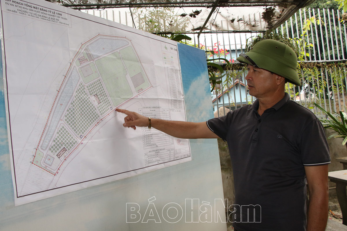 Nông dân chuyên nghiệp trên đất Phù Vân