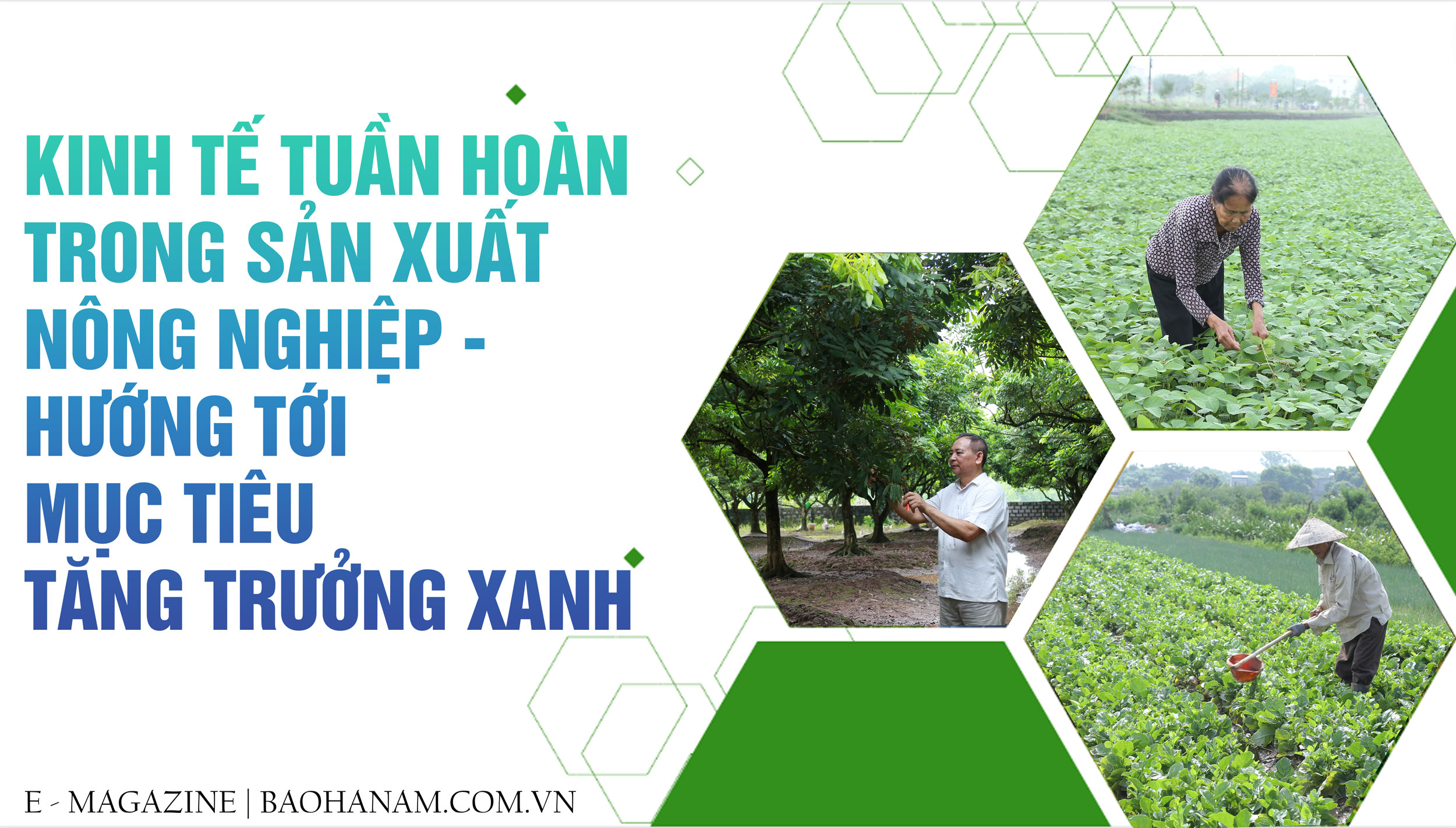 Kinh tế tuần hoàn trong sản xuất nông nghiệp – Hướng tới mục tiêu tăng trưởng xanh