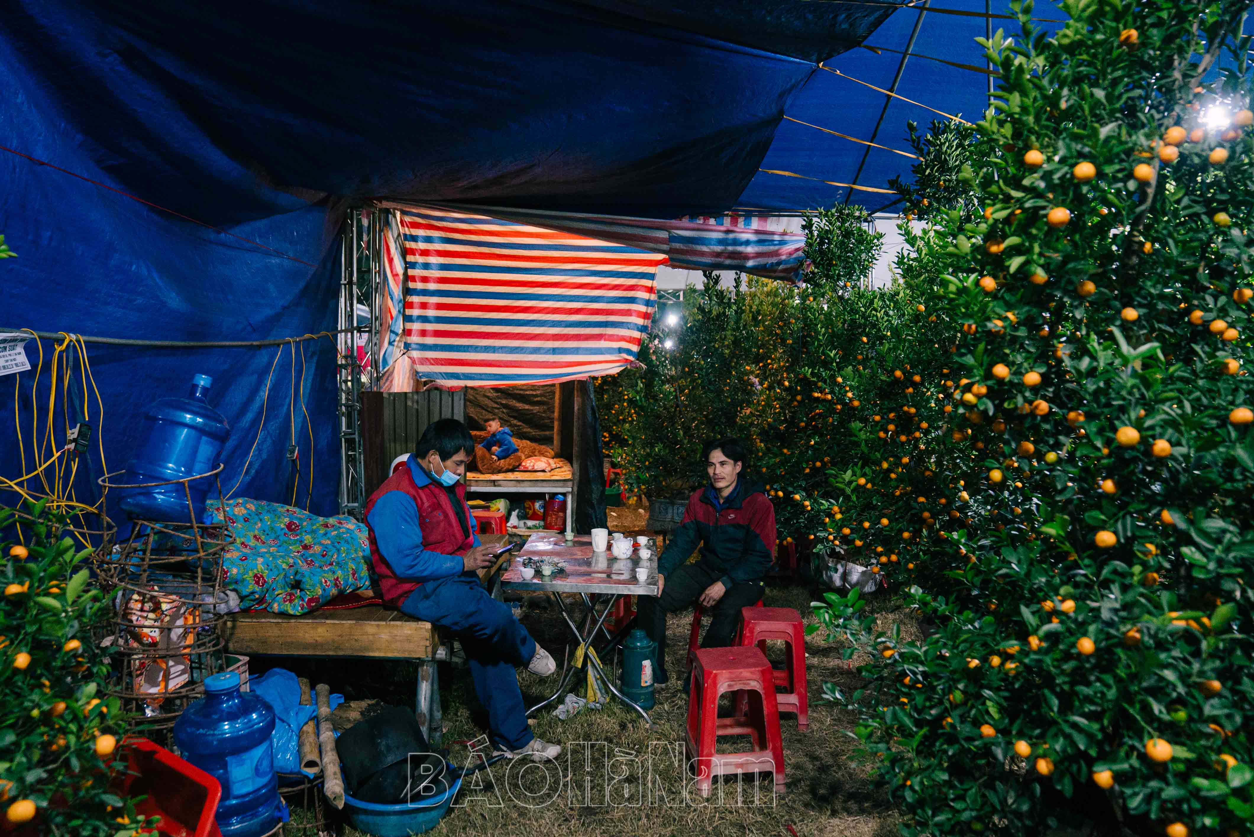 Tiểu thương xuyên đêm trông đào, quất Tết trong thời tiết buốt lạnh