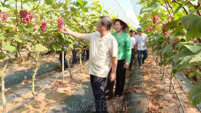 Bộ trưởng Bộ NN&PTNT Lê Minh Hoan thăm và làm việc tại huyện Bình Lục