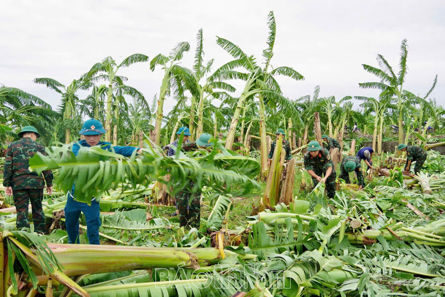 Đoàn Thanh niên Bộ CHQS tỉnh xung kích khắc phục hậu quả cơn bão số 3